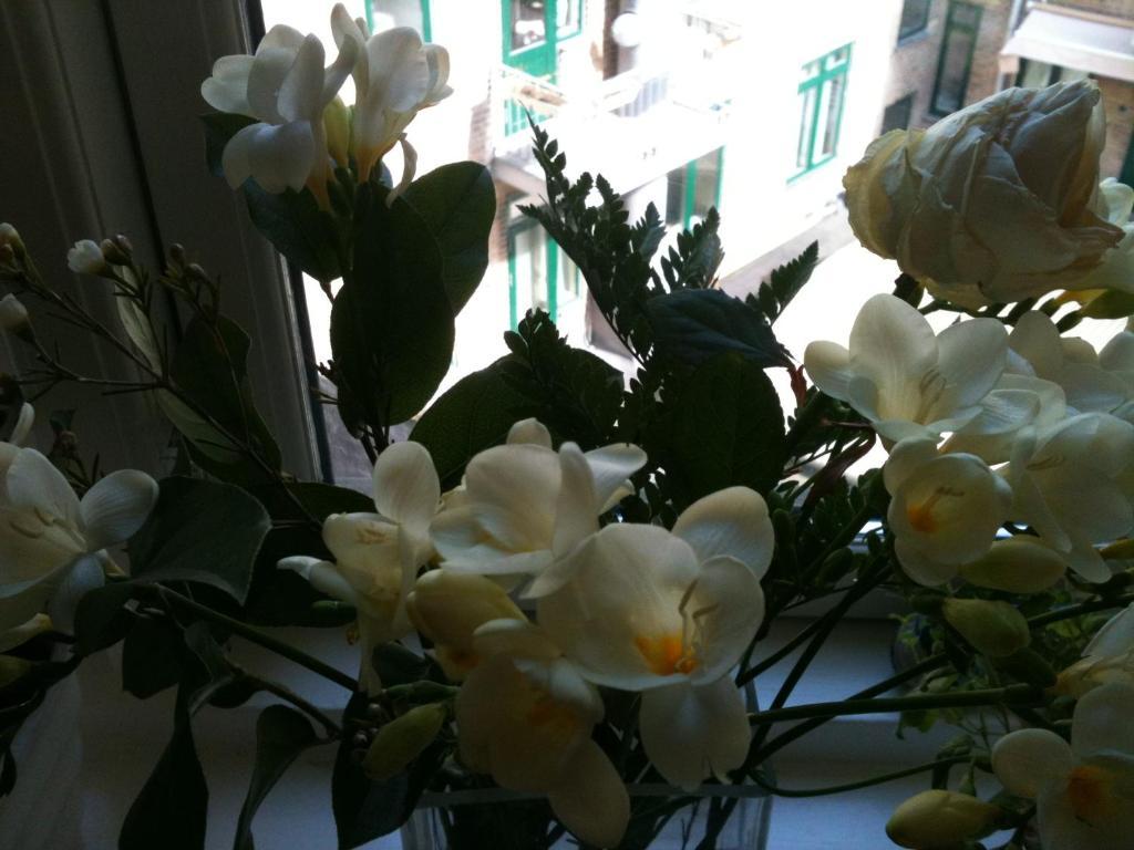 The Pea Blossom B&B Копенхаген Екстериор снимка